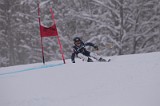 IMG_7612
