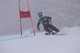 IMG_7661