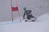 IMG_7662