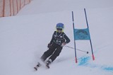 IMG_7666