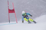 IMG_7676