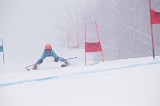 IMG_7685