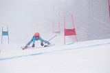 IMG_7686