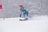 IMG_7688