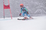 IMG_7689