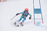 IMG_7690
