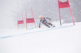 IMG_7695