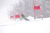 IMG_7714