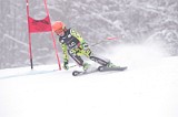 IMG_7718