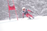 IMG_7731