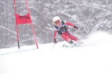 IMG_7732