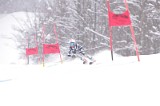 IMG_7743