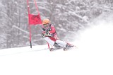 IMG_7761