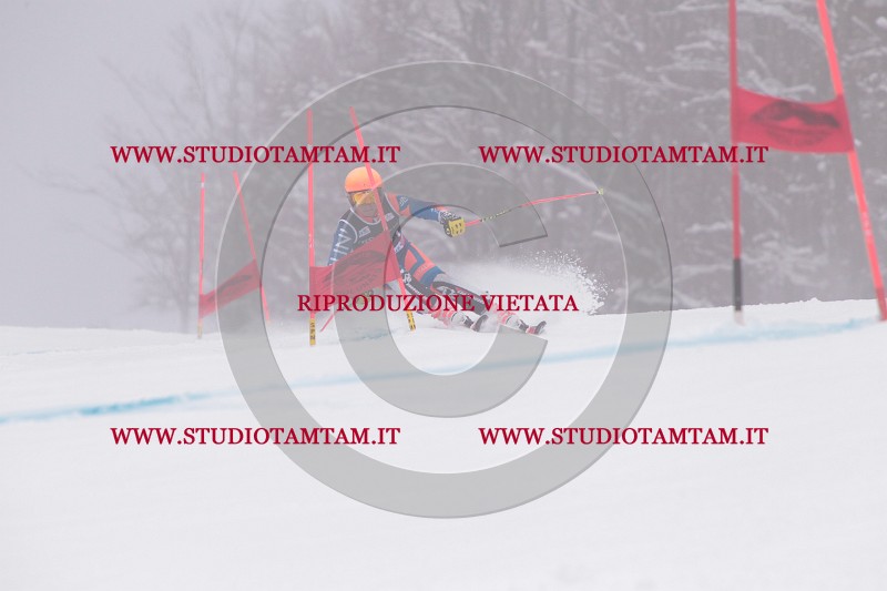 IMG_8582.JPG