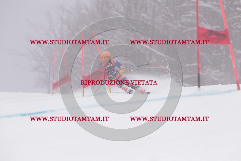 IMG_8583.JPG