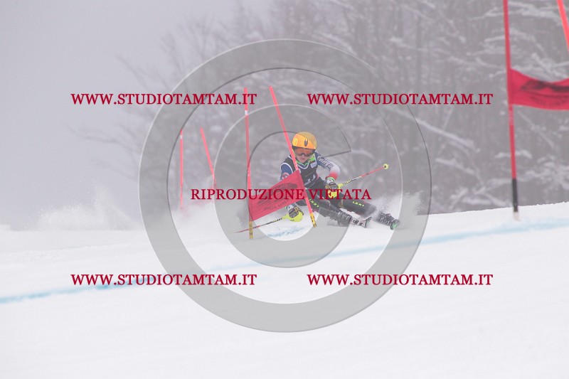 IMG_8597.JPG