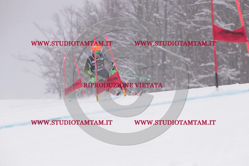 IMG_8631.JPG