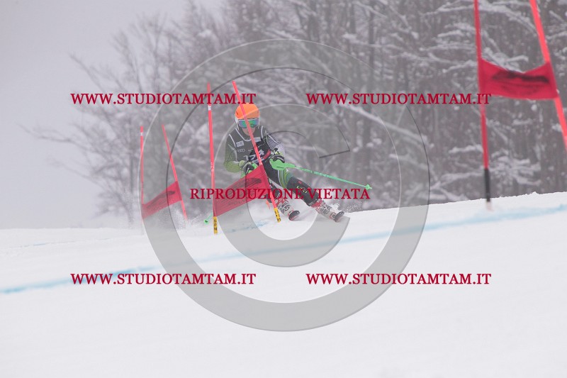 IMG_8632.JPG