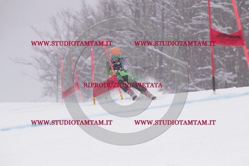 IMG_8633.JPG
