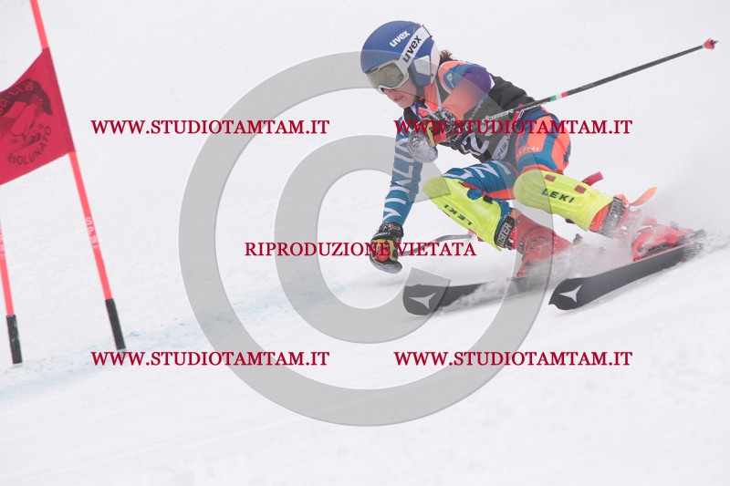 IMG_8656.JPG