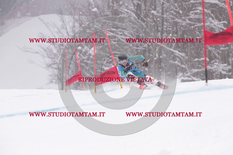 IMG_8677.JPG