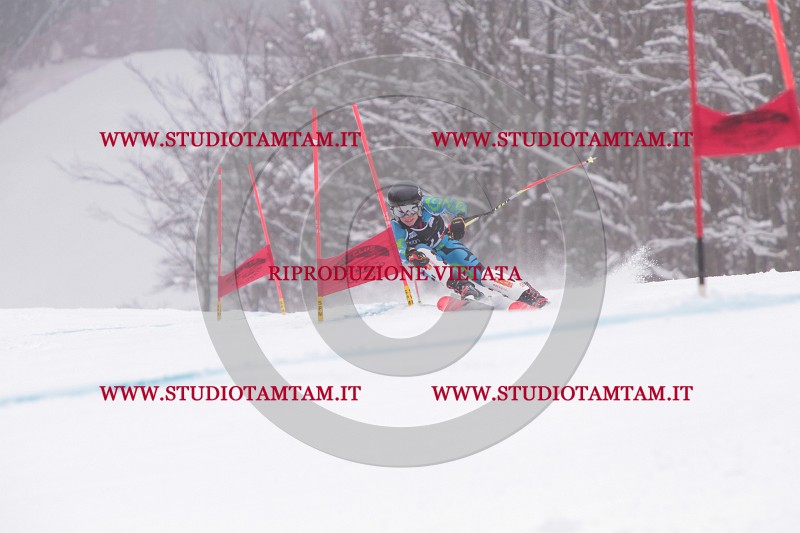 IMG_8678.JPG