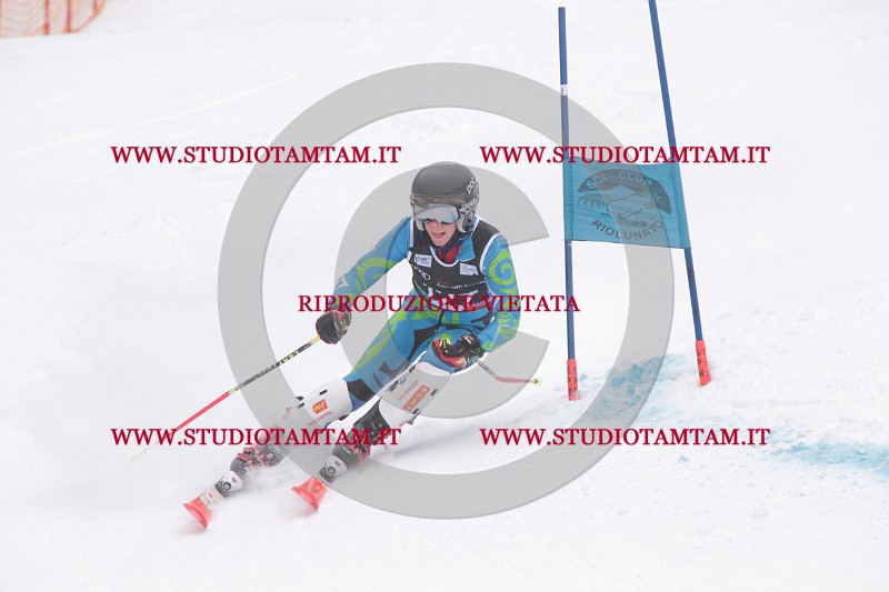 IMG_8684.JPG