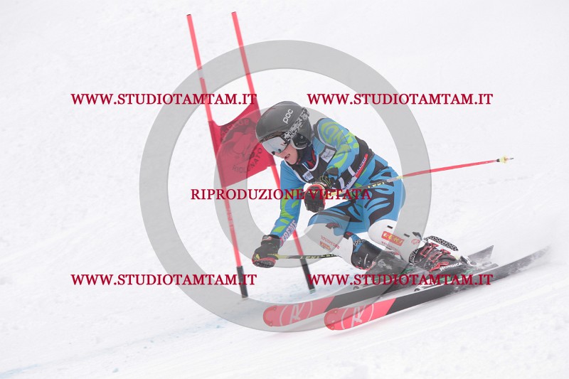 IMG_8688.JPG