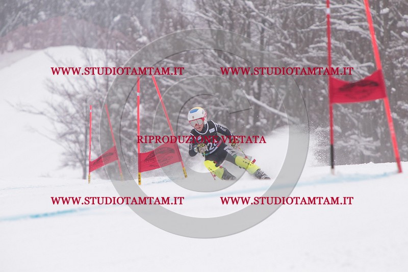 IMG_8693.JPG