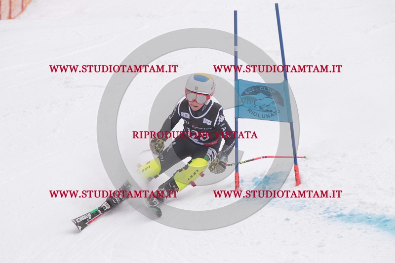 IMG_8700.JPG