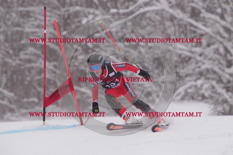 IMG_8752.JPG