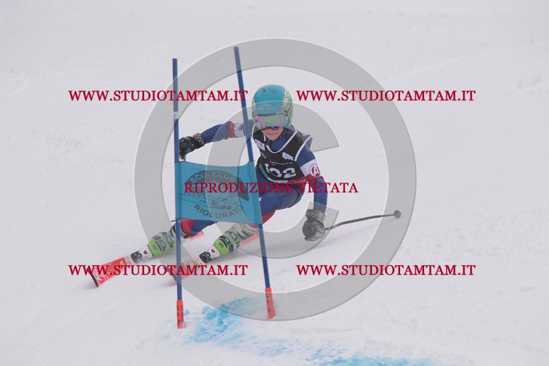 IMG_8769.JPG