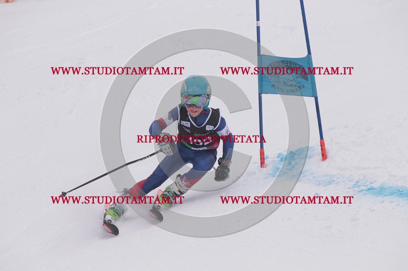 IMG_8772.JPG