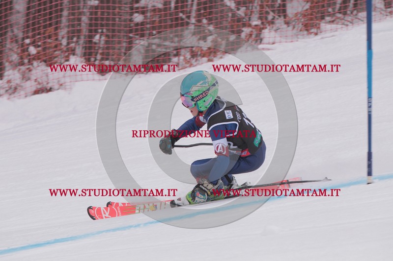 IMG_8775.JPG