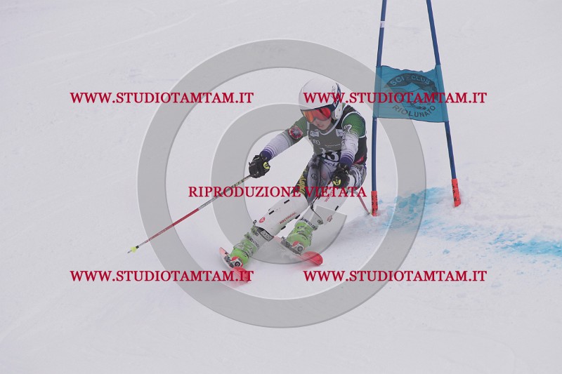 IMG_8786.JPG