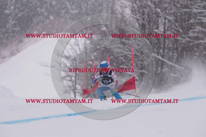 IMG_8794.JPG