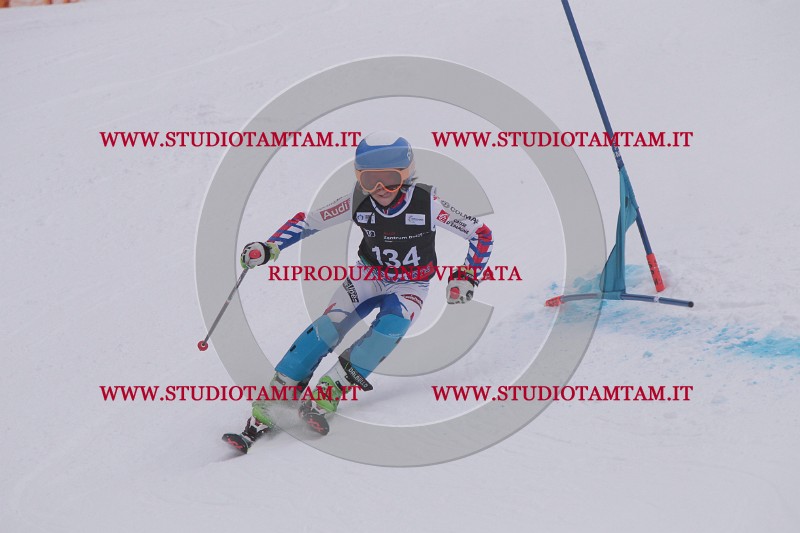 IMG_8802.JPG