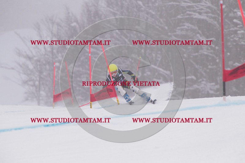 IMG_8832.JPG