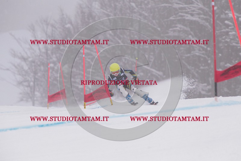 IMG_8833.JPG