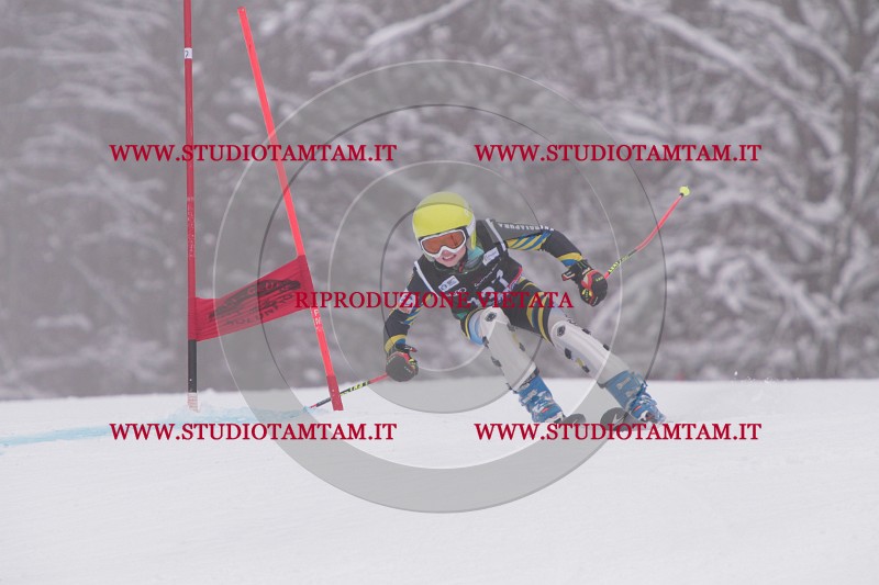 IMG_8836.JPG