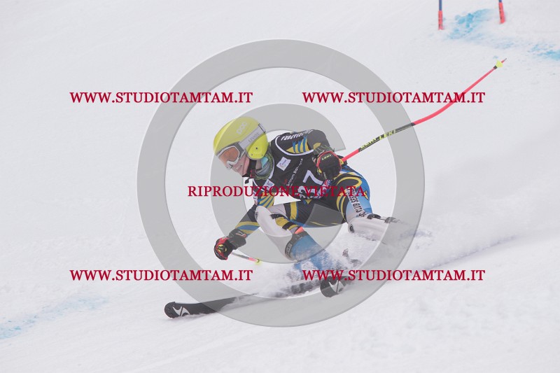 IMG_8842.JPG