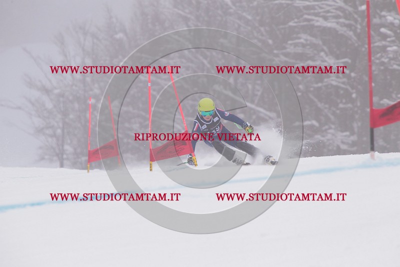 IMG_8848.JPG