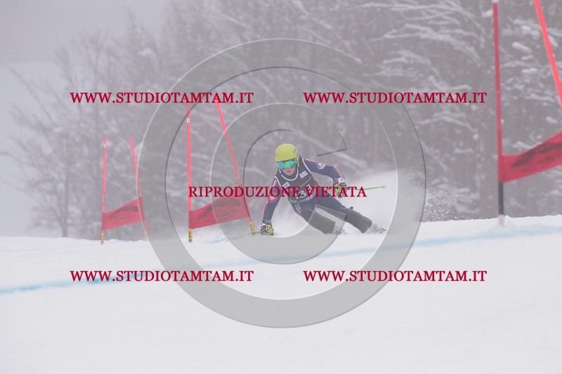 IMG_8849.JPG