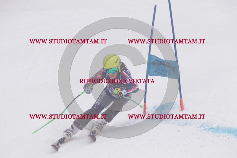 IMG_8856.JPG