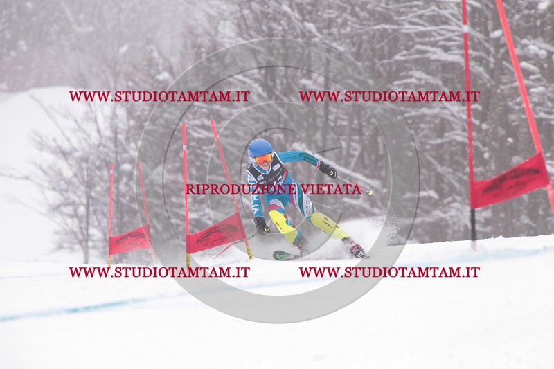 IMG_8919.JPG