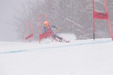 IMG_8582