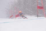 IMG_8584