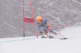 IMG_8588