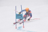 IMG_8590