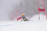IMG_8600
